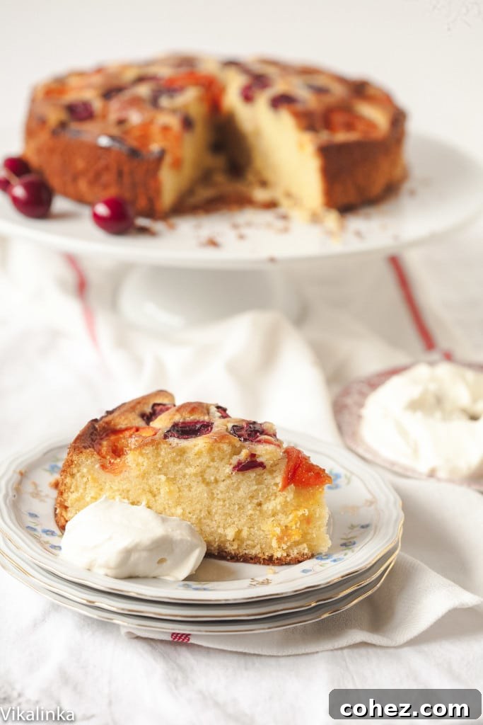 A delightful cut piece of the cherry and apricot cake, beautifully topped with a generous dollop of Amaretto cream, showcasing its irresistible appeal.