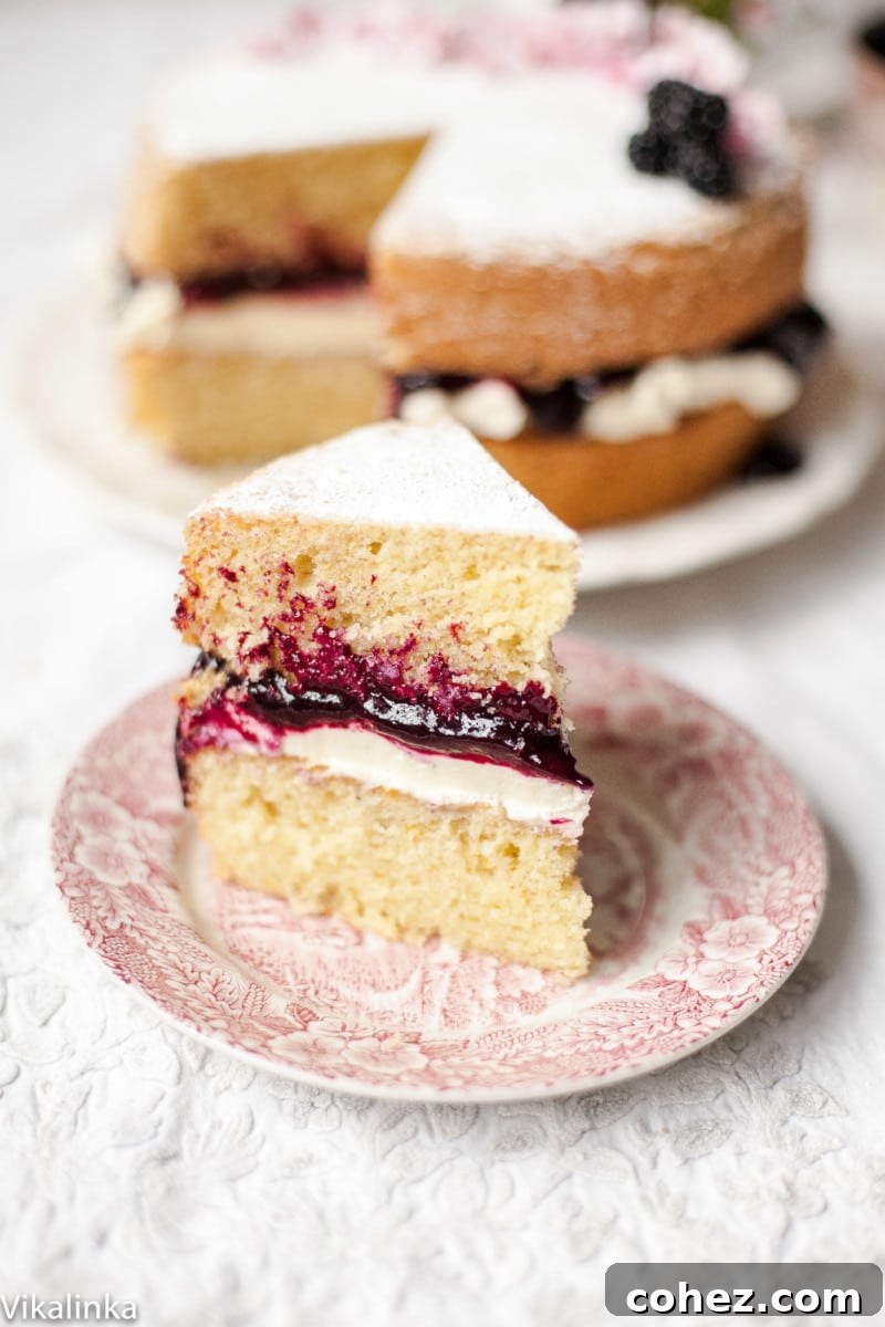 Slice of Victoria Sponge Cake with Blackberry Compote
