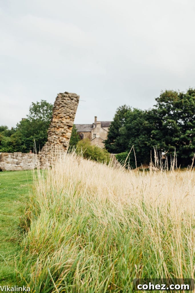 Travel Photography England Yorkshire - A narrow country lane lined with stone walls