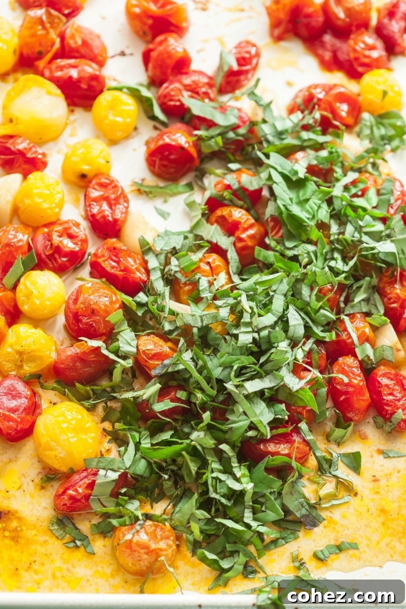 Close-up of vibrant red and yellow cherry tomatoes roasted on a baking pan, topped with freshly sliced green basil leaves.