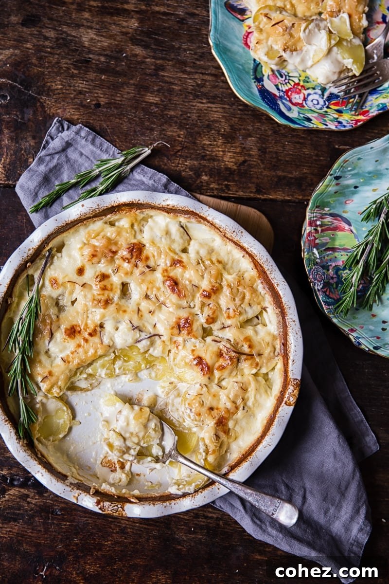 Top-down view of a baking dish filled with perfectly baked potatoes au gratin, golden and bubbly from the oven