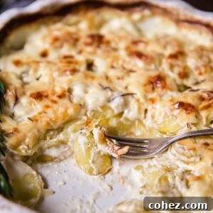 gratin potatoes