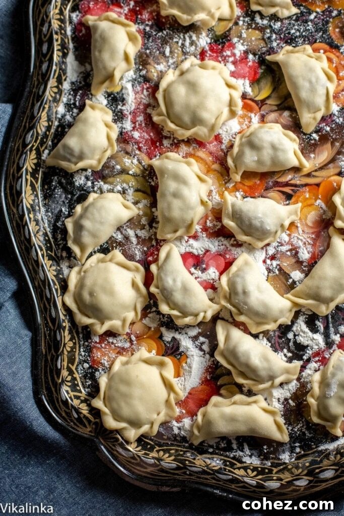 Classic Siberian Pelmeni 4 top down view of dumplings on a patterned tray