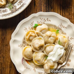 Classic Siberian Pelmeni 8 topdown view of dumpling on a plate and another bowl in the corner