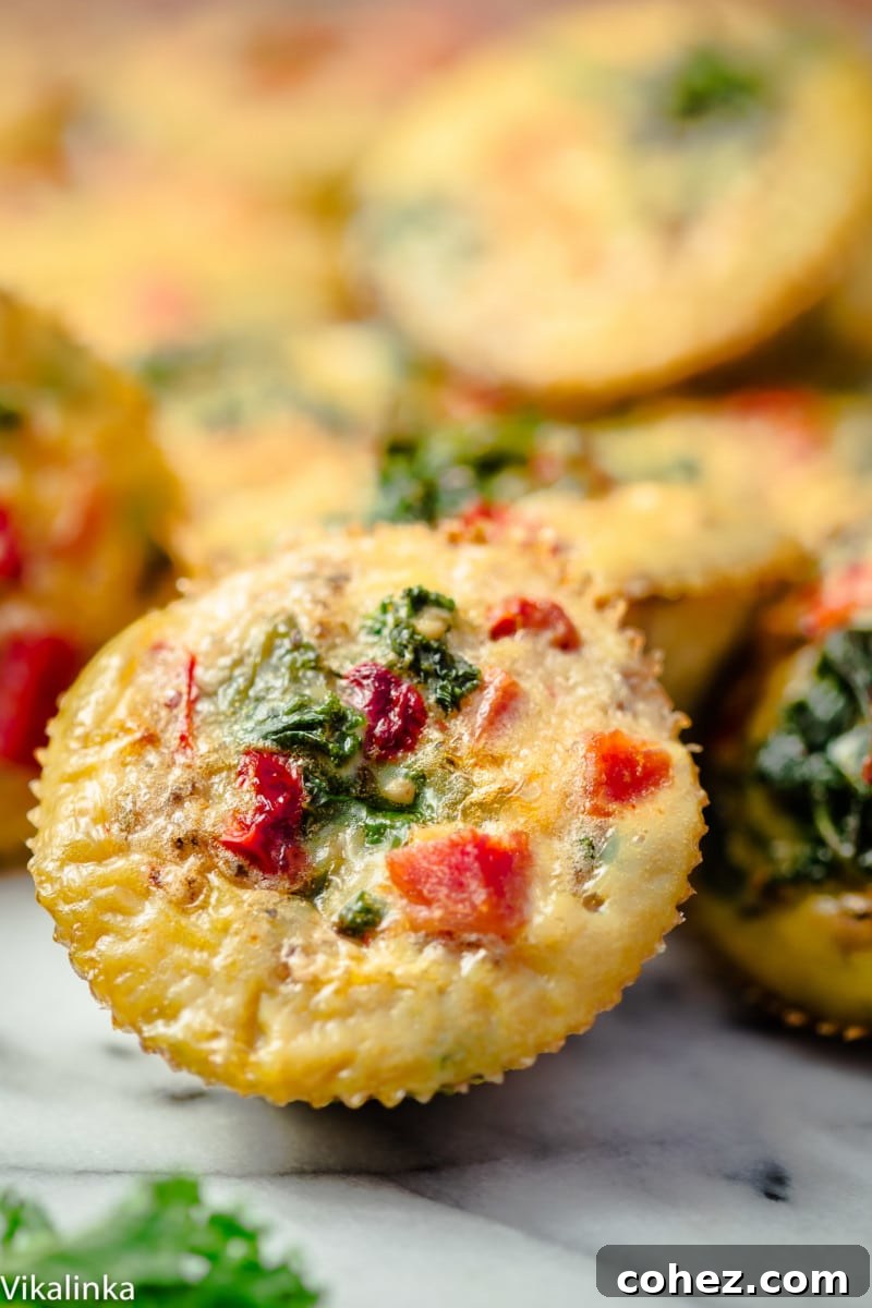 Close up of the egg tart with peppers and spinach showing