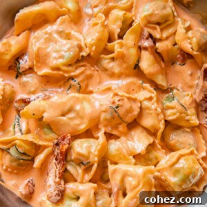 pan of tortellini in cream sauce with sun-dried tomatoes with sprinkled parmesan cheese
