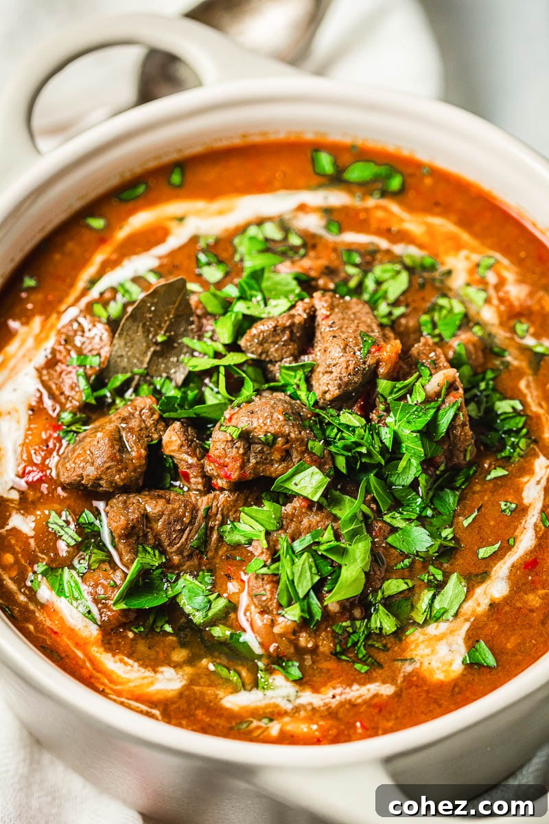 Hungarian goulash generously sprinkled with fresh parsley and ready to serve