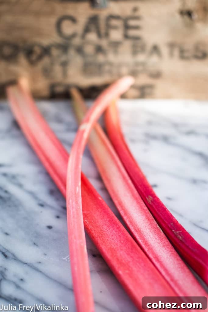 Four vibrant green and pink stalks of fresh, crisp rhubarb artfully arranged on a pristine white marble countertop, signifying readiness for preparation.
