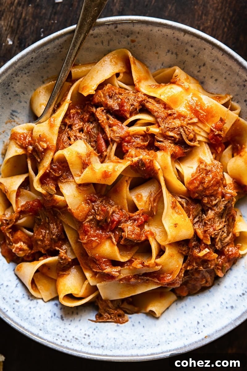 An overhead view of a bowl of Rustic Italian Beef Ragu with a fork, emphasizing its hearty and inviting nature.