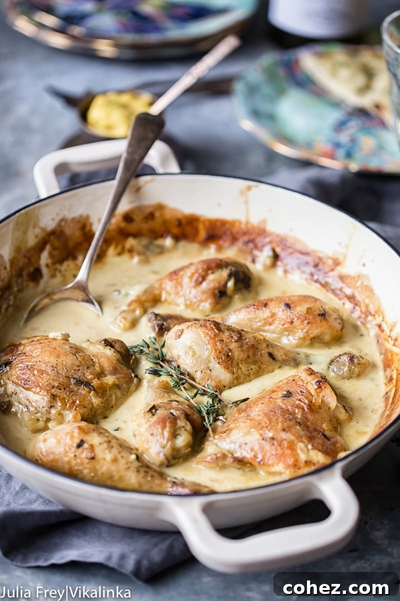 Gourmet Wine and Mustard Chicken 8 Delicious chicken in wine and mustard sauce, garnished with fresh herbs and served in a pan