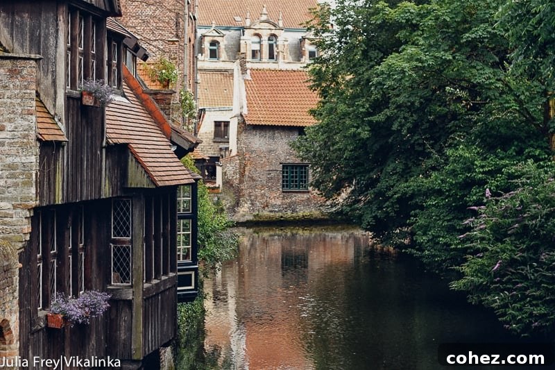 Bruges canals and historic architecture