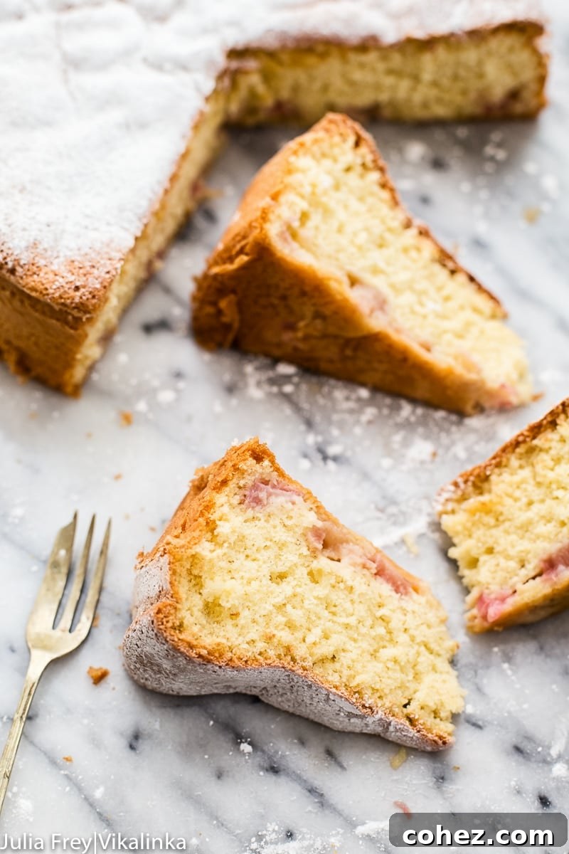 Rhubarb Cake (Sharlotka) - A light and airy sponge cake with tangy rhubarb