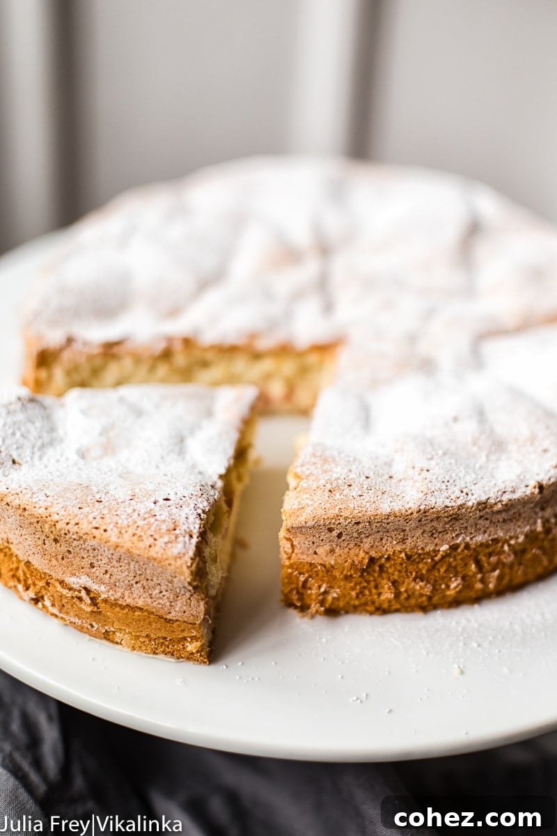 Sliced Rhubarb Cake (Sharlotka) showing its light texture