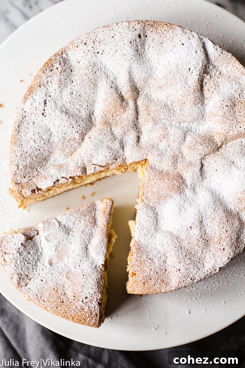 Close-up of Rhubarb Sharlotka Cake with powdered sugar