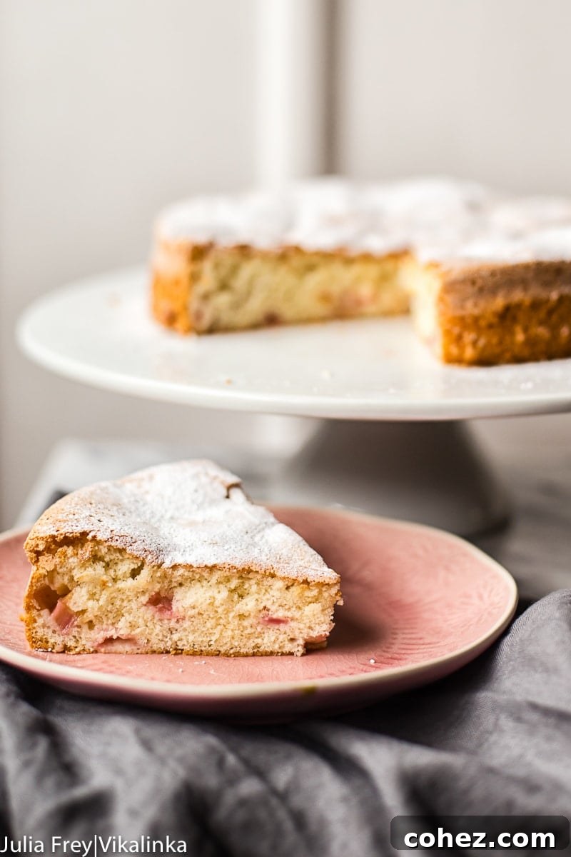 Rhubarb Sharlotka Cake slice revealing its fluffy texture and rhubarb distribution