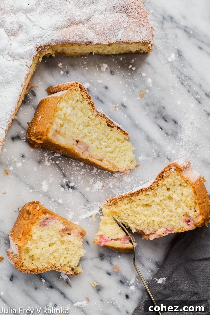 Rhubarb Sharlotka Cake, freshly baked and dusted with powdered sugar