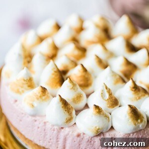 Close view of cheesecake showing meringue with light browning