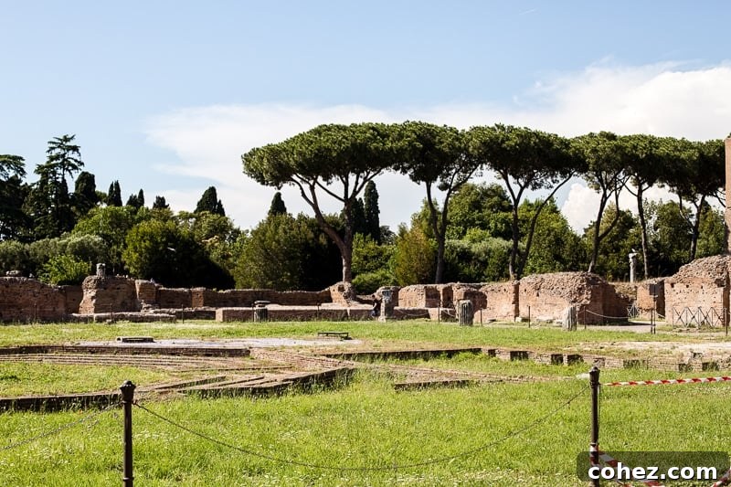 Exploring the ruins on Palatine Hill, offering a glimpse into ancient Roman life