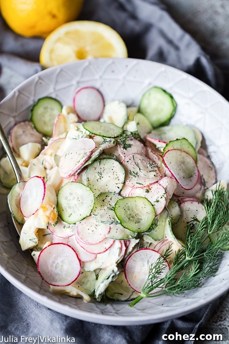Creamy dill cucumber and radish salad served in a elegant grey bowl, garnished with fresh dill sprigs.