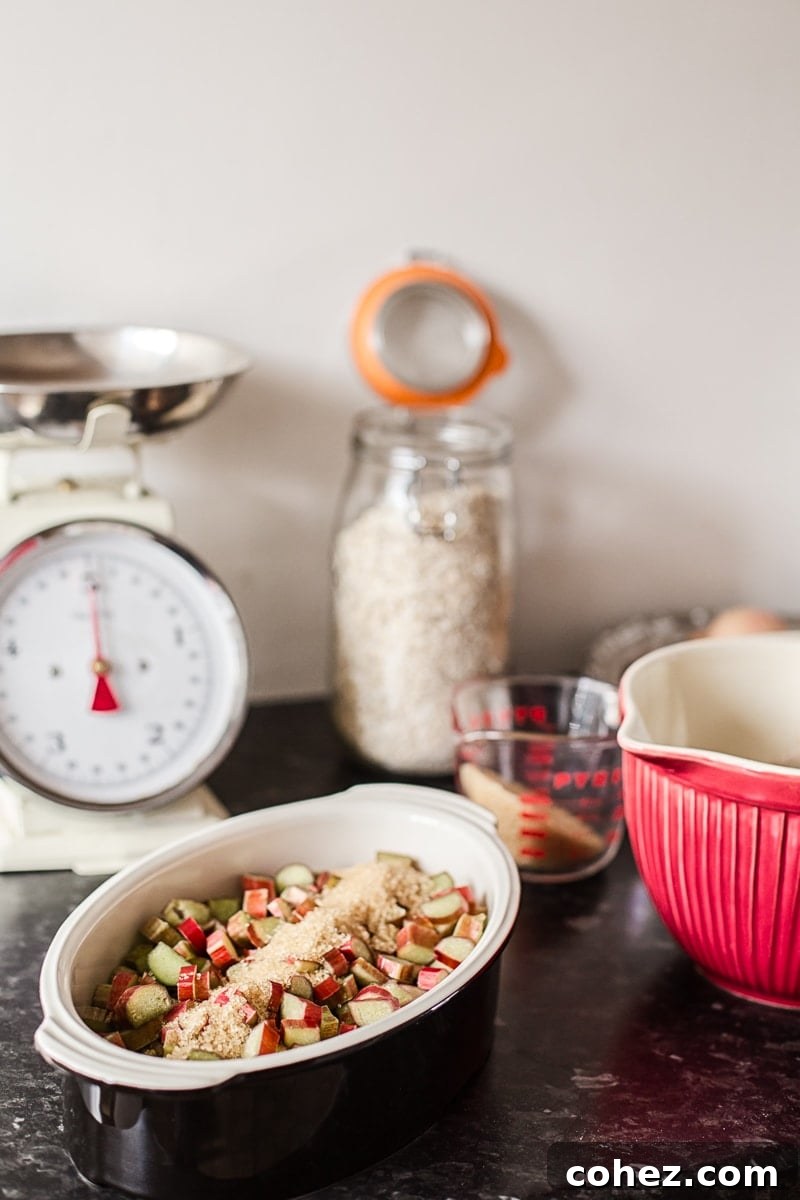 The raw ingredients for rhubarb cobbler laid out on a kitchen counter, including fresh rhubarb, oats, flour, and baking dishes, symbolizing preparation.