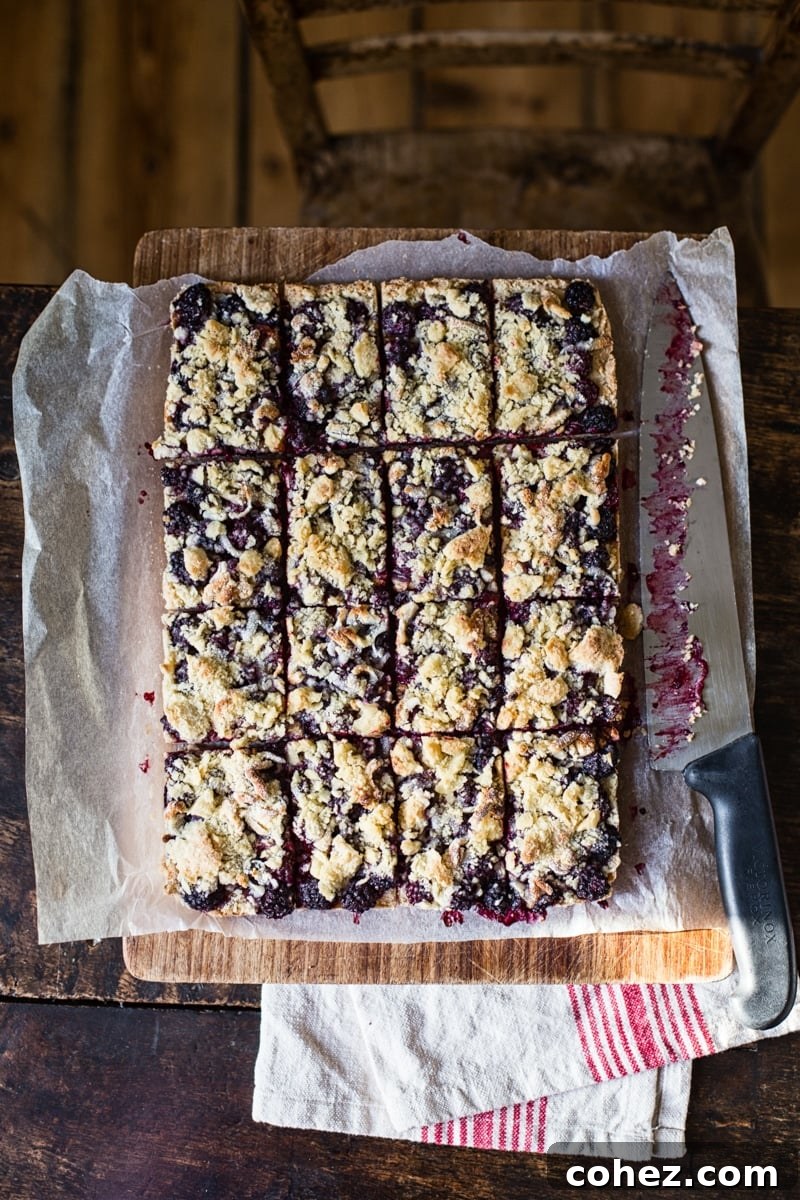 Blackberry Crumb Squares 2 top down view of sliced Blackberry Crumble Bars