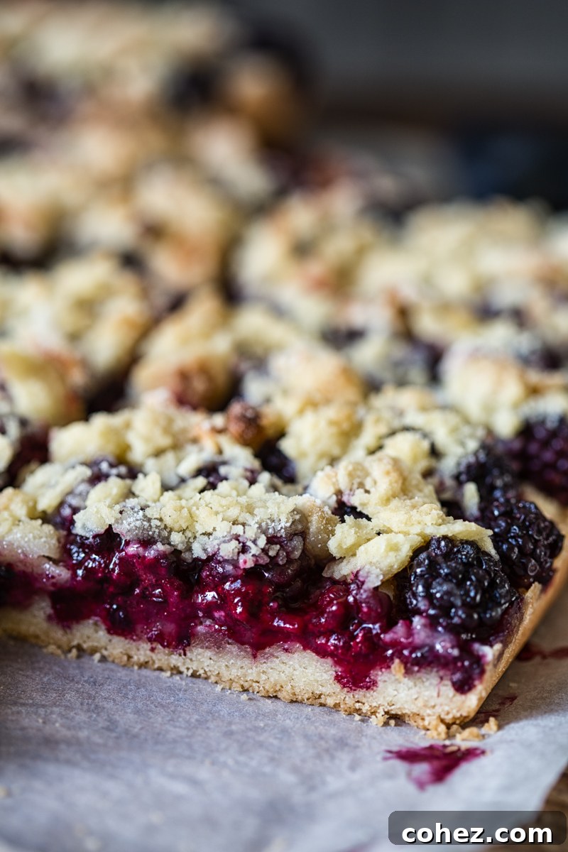 Blackberry Crumb Squares 3 blackberry bar with crumble topping
