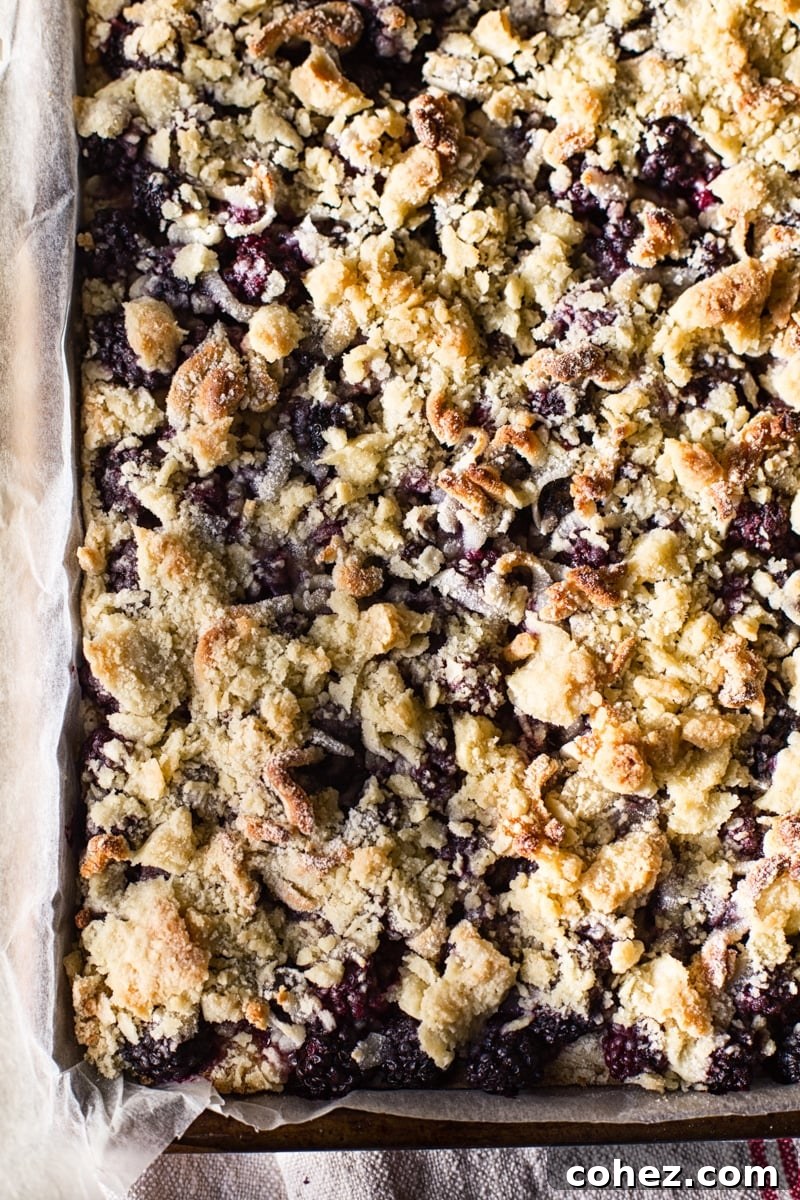 Blackberry Crumb Squares 5 Blackberry Crumble Bars from the top down in the baking dish