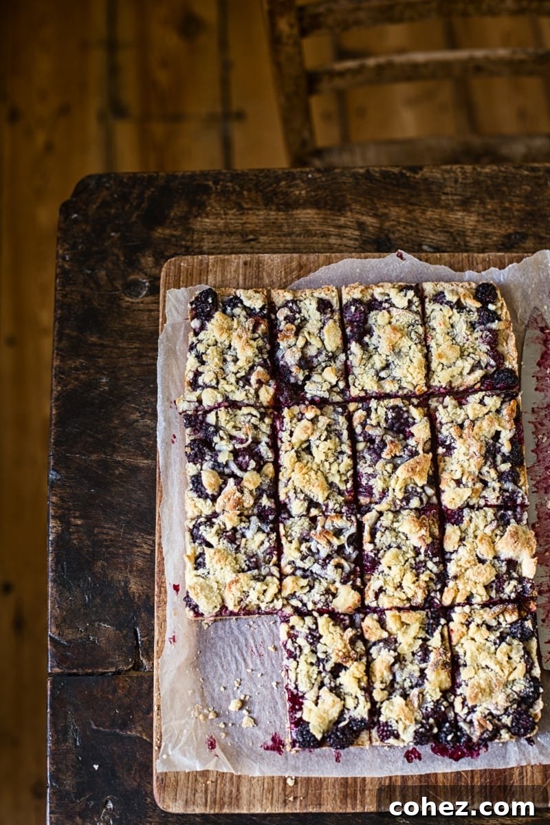 Blackberry Crumb Squares 6 Blackberry Crumble Bars