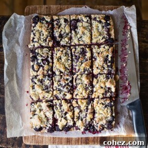 Blackberry Crumb Squares 7 top down view of sliced Blackberry Crumble Bars