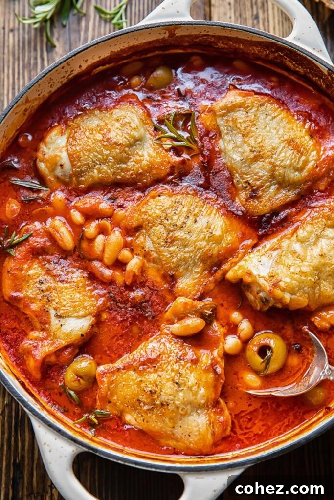 Top down view of chicken stew in a pan