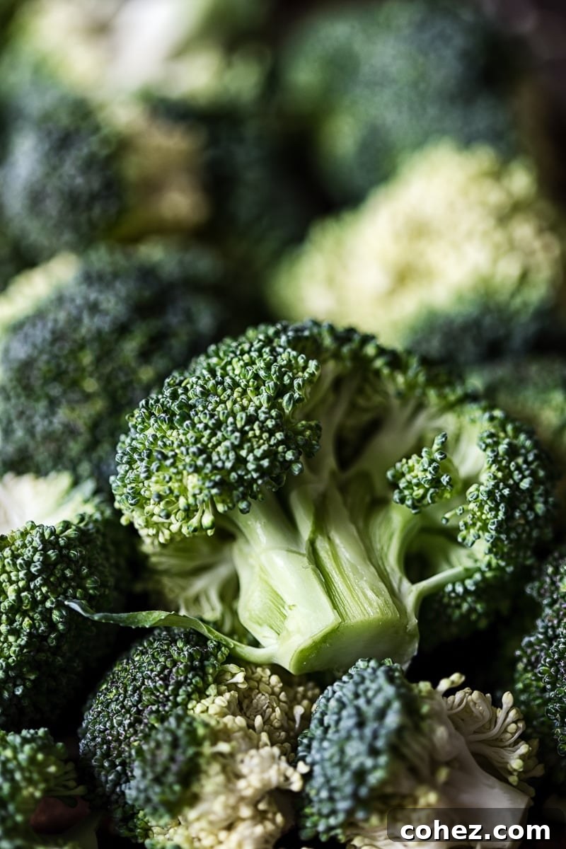 Sun-Kissed Tomato & Parmesan Roasted Broccoli 3 Close-up of fresh, vibrant raw broccoli florets, ready for cooking