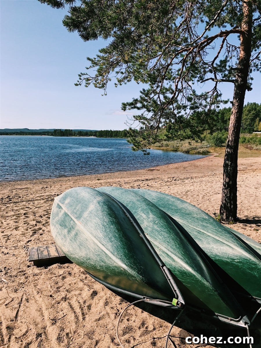 Friendly Swedish local interacting with tourists