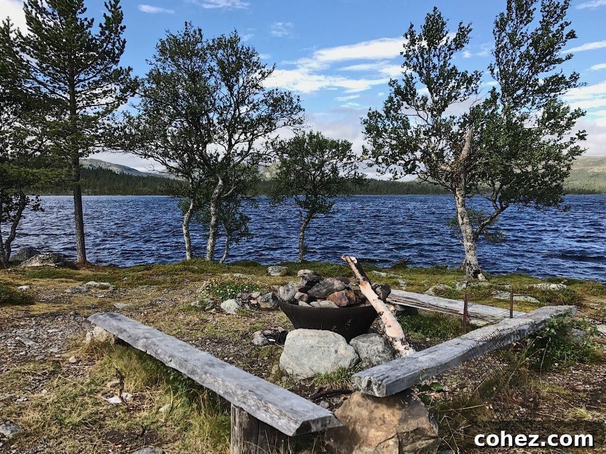 Family relaxing around a campfire on a sandy lake beach in Sweden