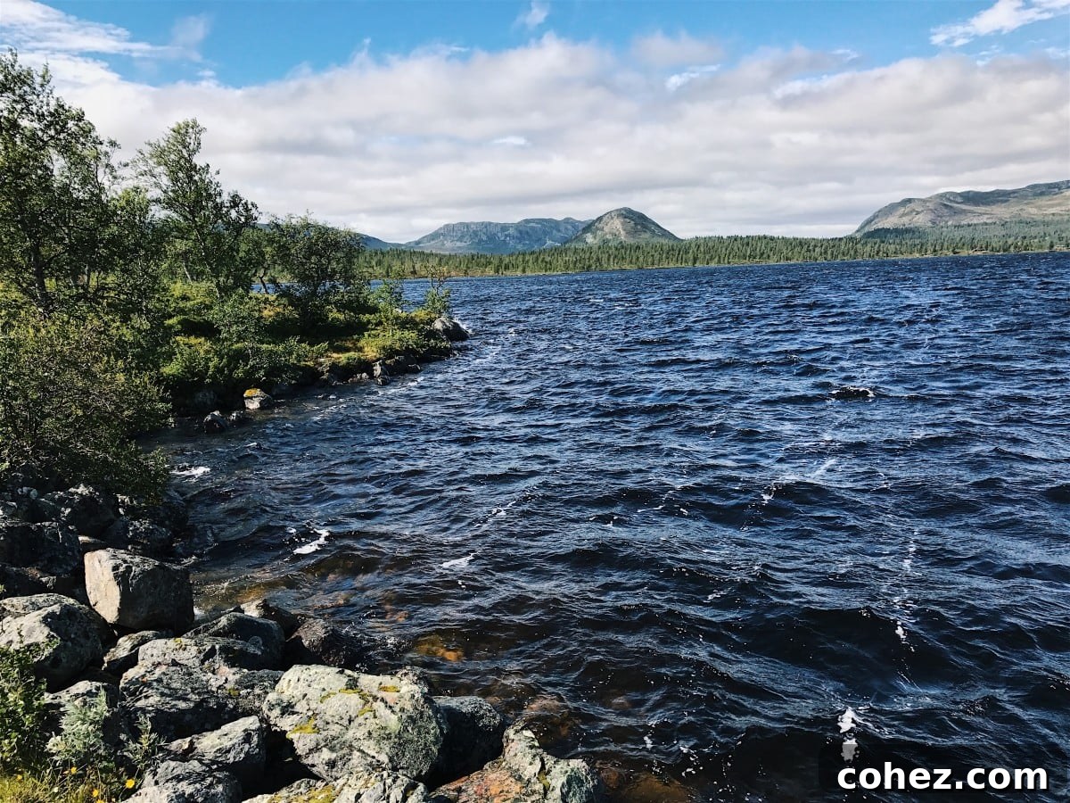 Scenic view of a tranquil lake surrounded by a pine forest in Sweden