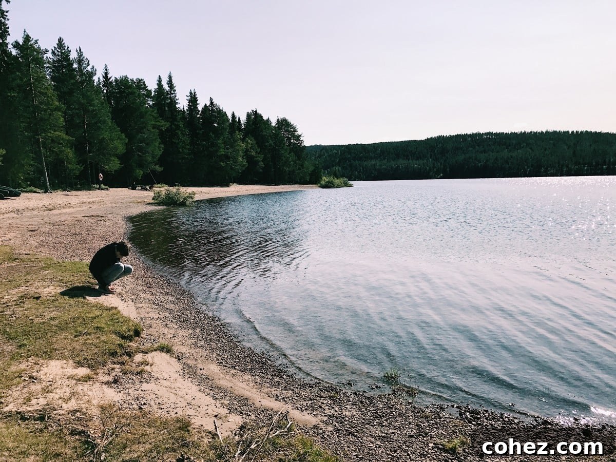 Idyllic lake view with a small island and clear blue sky in Sweden
