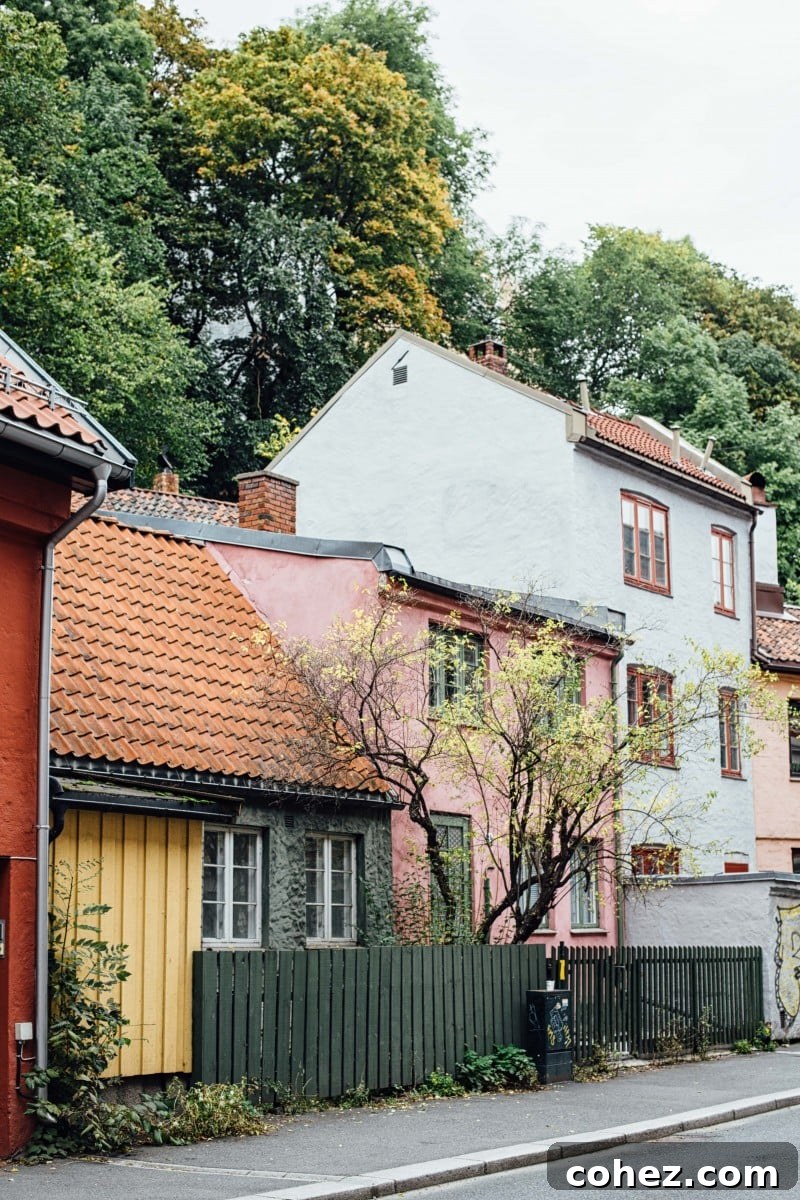 Why Visit Norway: Culture and Innovation