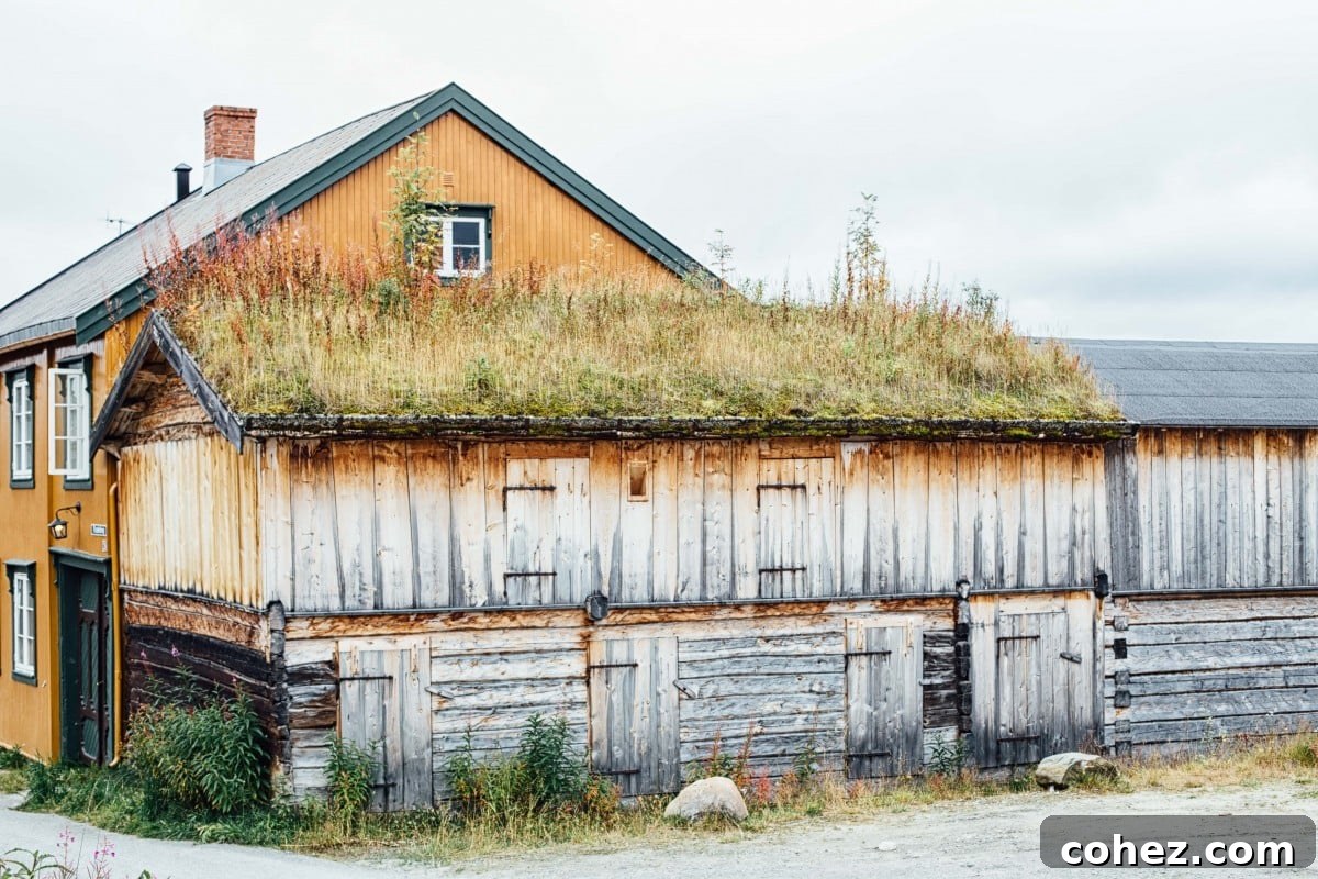 Visit Norway Food Tour
