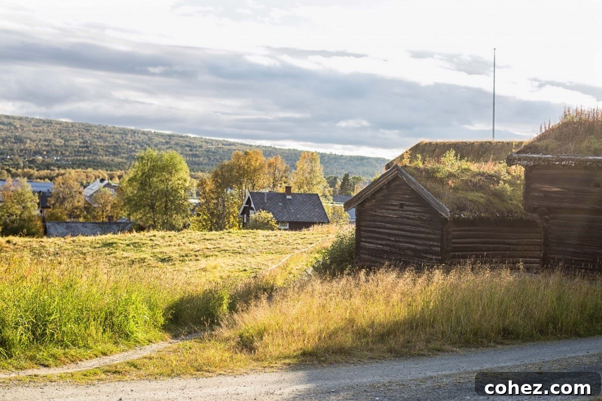 Things to Do in Røros: Scenic Walks and Nature