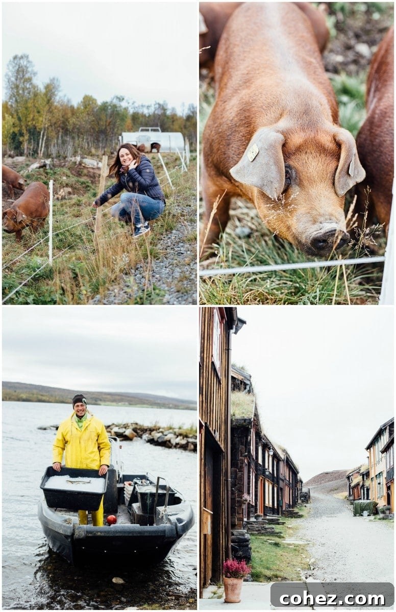 Norwegian Local Food: Sustainable Practices