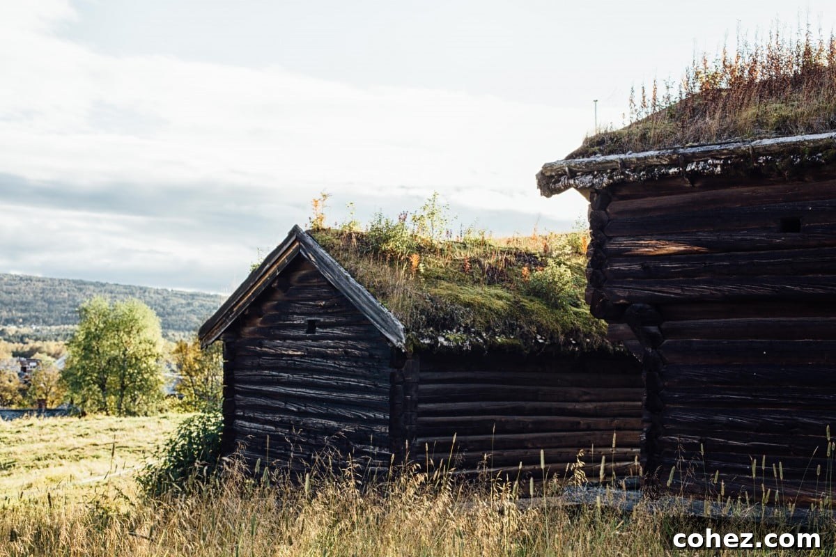 Røros to Oslo Travel