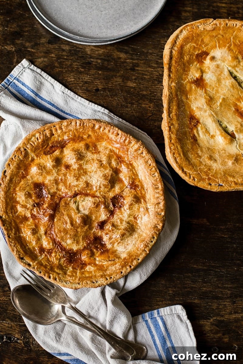 top down view of two pies on a wooden table