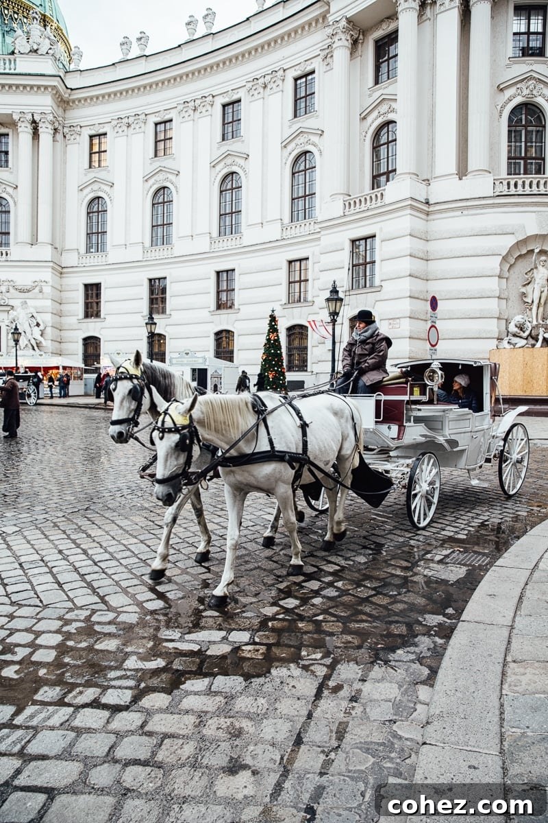 Exploring the historical streets and captivating sights on a visit to Vienna