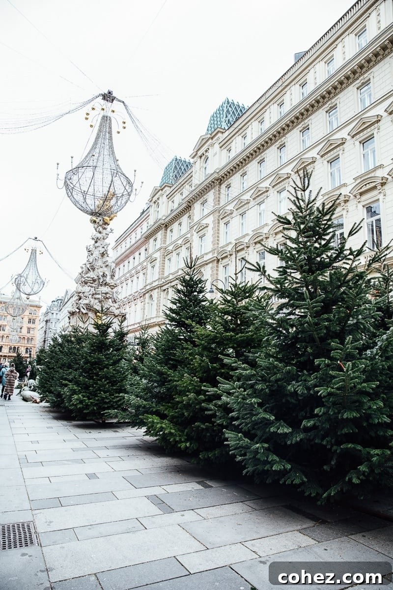 Charming street scene in Vienna with classic architecture
