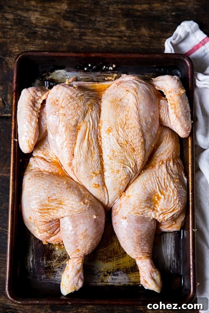 An uncooked spatchcocked chicken, marinated and ready for roasting, resting on a baking pan before going into the oven.