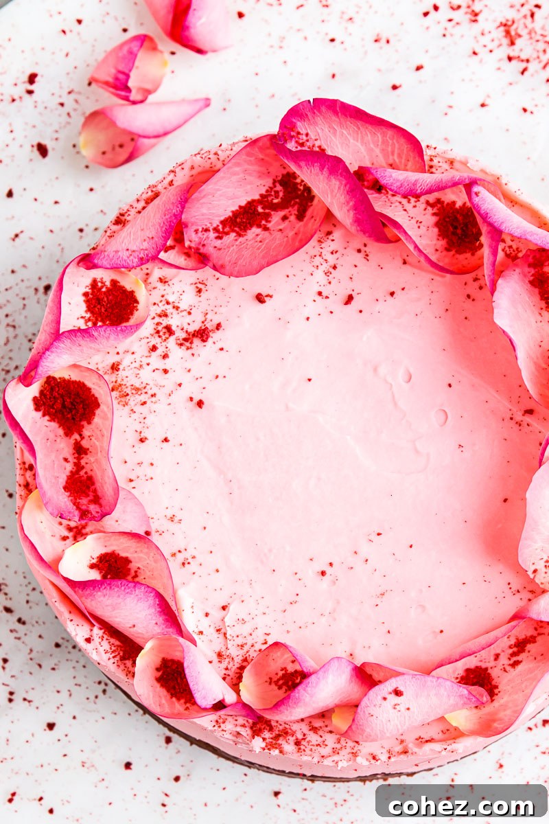 Top-down view of a delicate pink cake decorated with vibrant rose petals, ideal for Valentine's Day.