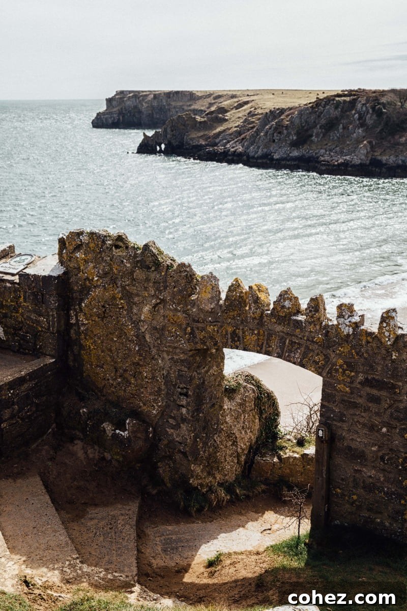 Ruined wall over Barafundle Bay