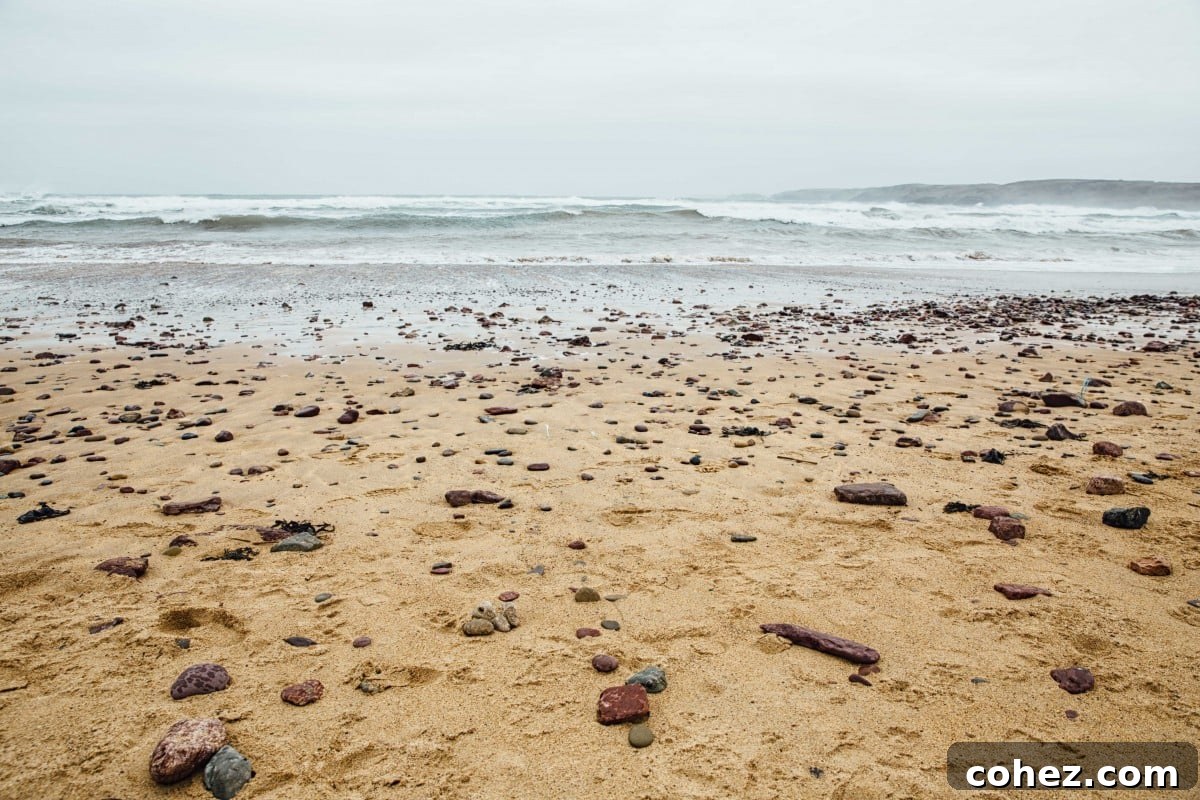 Rocky Welsh beach scene, ideal for exploring tide pools and coastal walks