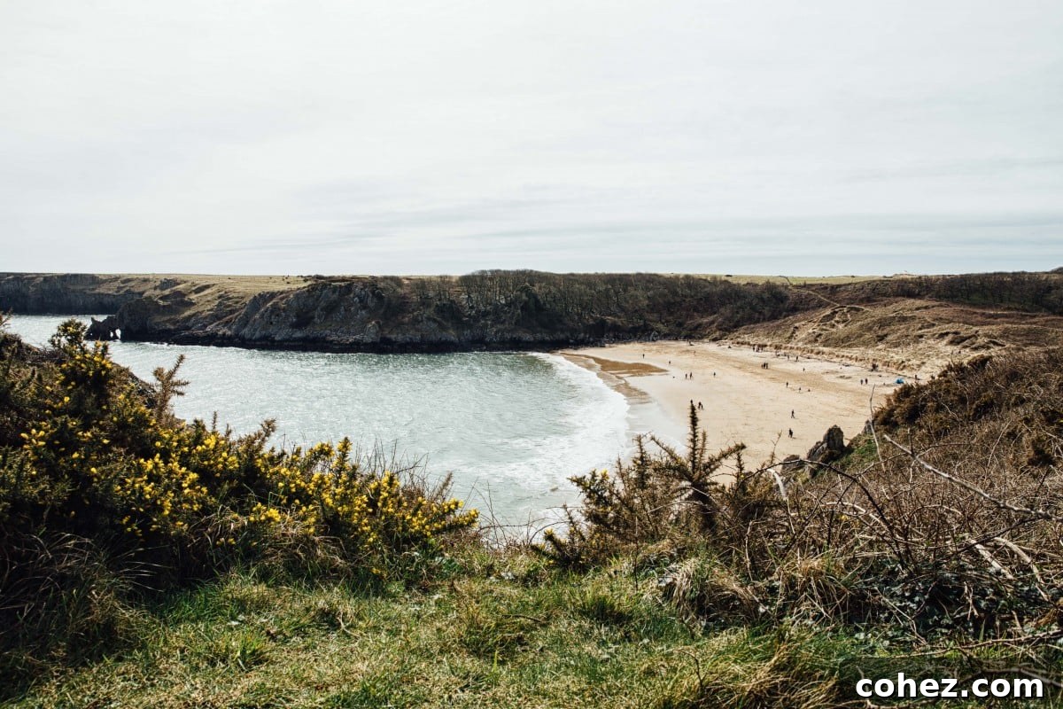 Panoramic view of Barafundle Bay from a hill on the East, revealing its secluded splendor