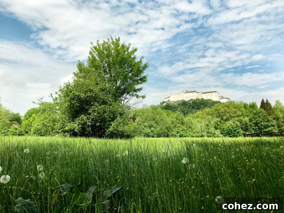 Salzburg's Brews and Baroque Wonders 14 Panoramic view of the majestic Hohensalzburg Castle from a peaceful green field just outside the city of Salzburg.