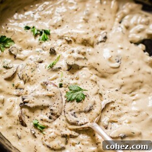 Close up view of spoon scooping creamy cognac sauce in a pan